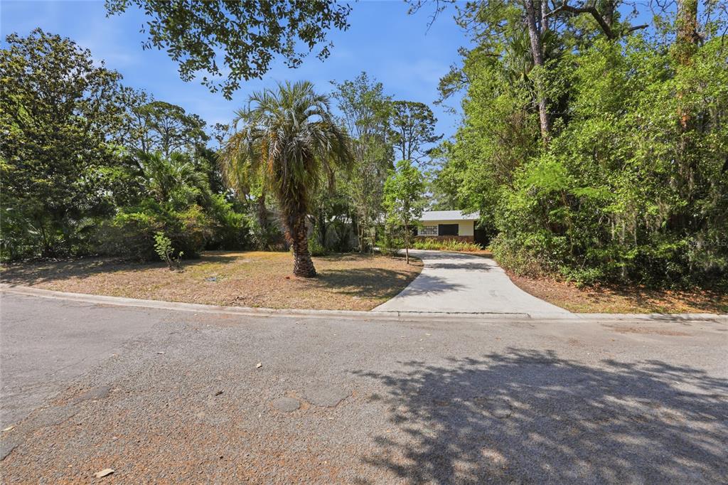 A concrete driveway leads to a house partially obscured by trees and a palm tree — 4130 NW 19TH PLACE, GAINESVILLE, FL