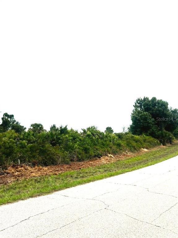 A paved road runs alongside a vacant, wooded lot with dense vegetation and trees — 7441 MANVILLE TERRACE, PORT CHARLOTTE, FL