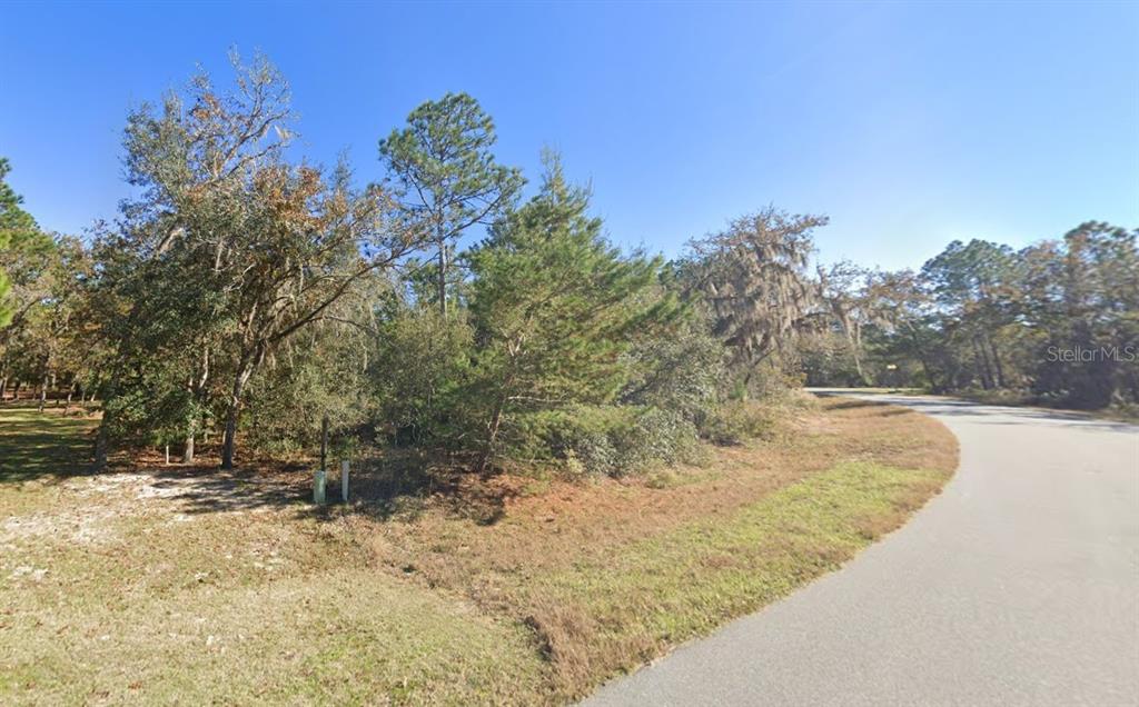 A vacant, wooded corner lot sits next to a paved residential street under a clear sky — 2352 COUNTY ROAD 243B, WILDWOOD, FL