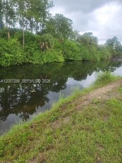A narrow canal flows alongside a grassy bank lined with dense green trees and vegetation — 437 Naples AVE S, Lehigh Acres FL 33974, LEHIGH ACRES, FL