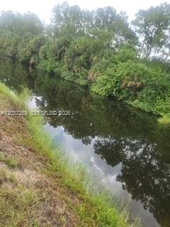 A narrow canal flows alongside a grassy bank lined with dense trees and vegetation — 437 Naples AVE S, Lehigh Acres FL 33974, LEHIGH ACRES, FL