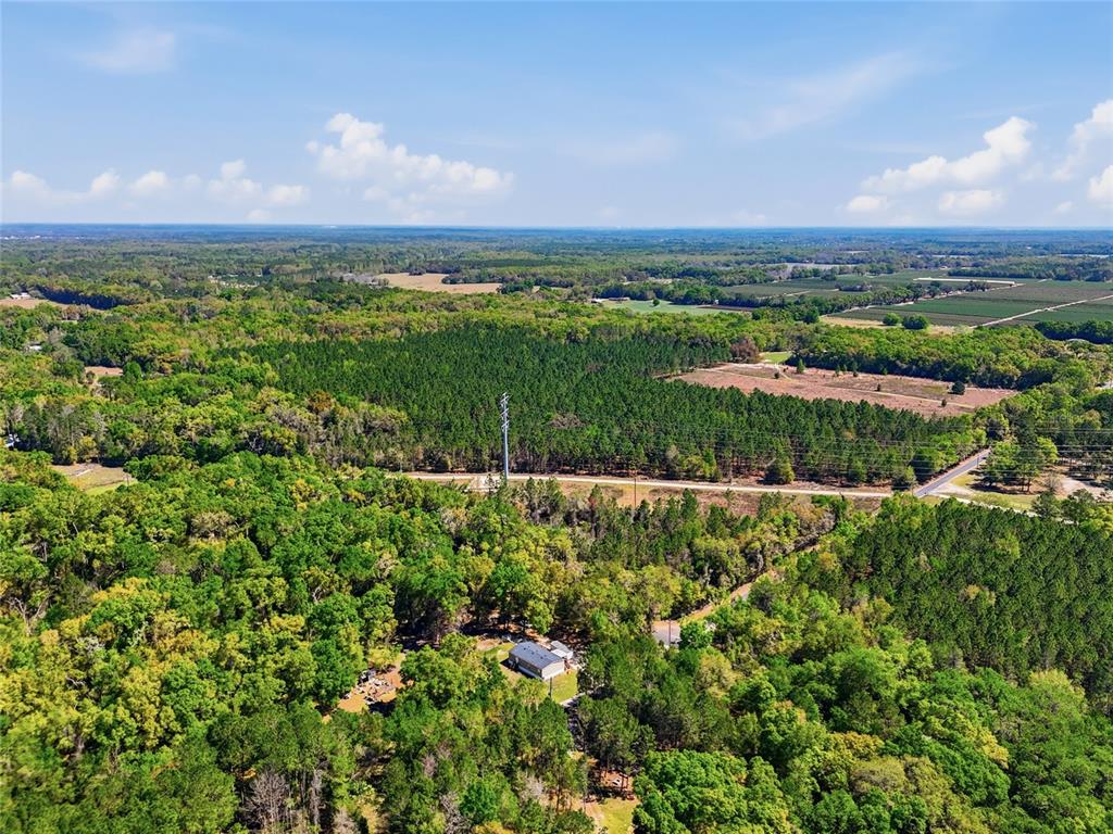 An aerial view shows a house surrounded by dense forest and nearby agricultural fields — 11791 SW 143 STREET, ARCHER, FL