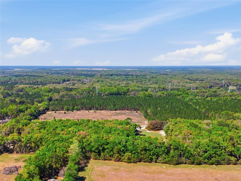 An aerial view shows a large, open field surrounded by dense forest and power lines — 11791 SW 143 STREET, ARCHER, FL
