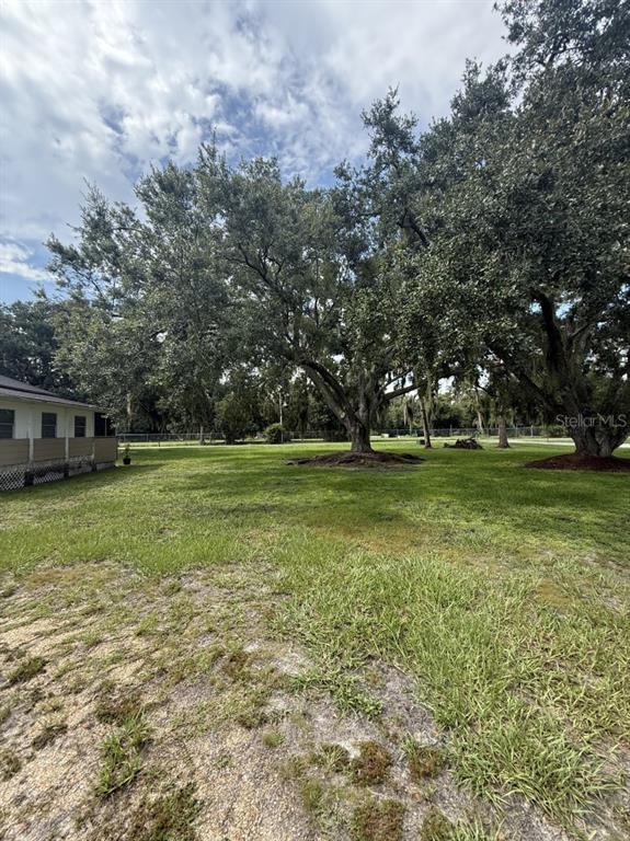 A large, mature oak tree stands in a grassy yard next to a house exterior — 275 TEMPLE STREET, MULBERRY, FL
