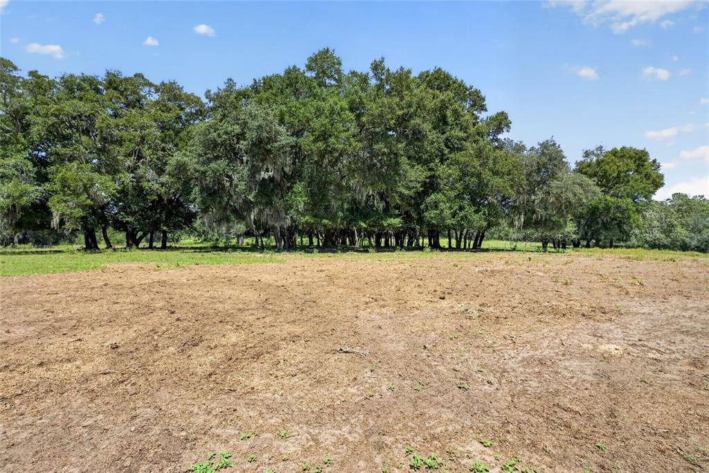 A large, cleared dirt lot sits in front of a dense line of mature trees — 2611 E STAGE COACH TRAIL, INVERNESS, FL