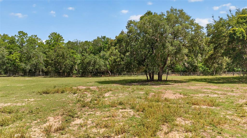 A large, grassy field features a cluster of mature trees under a blue sky — 2611 E STAGE COACH TRAIL, INVERNESS, FL
