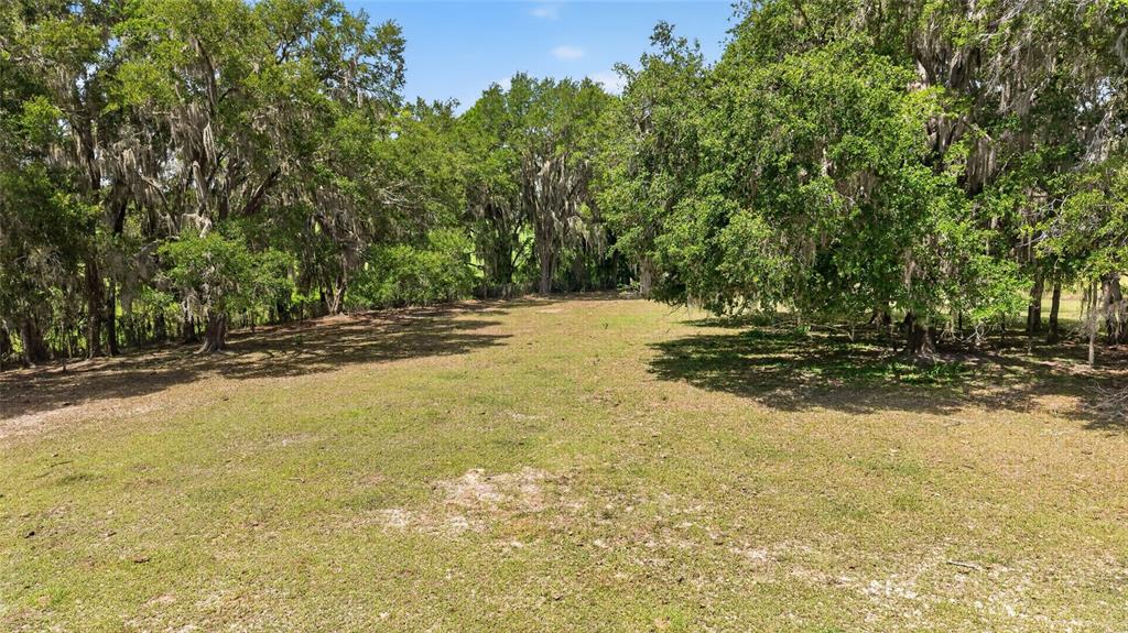 A grassy, open lot is surrounded by mature trees with hanging Spanish moss — 2611 E STAGE COACH TRAIL, INVERNESS, FL