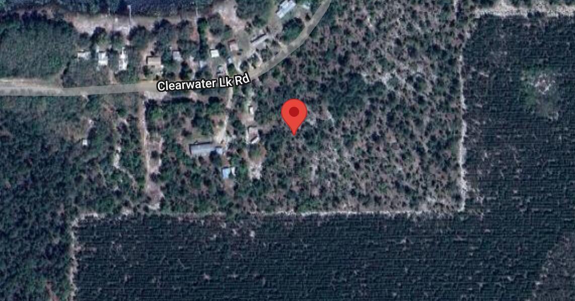 This is a satellite map view showing a wooded lot with a red location pin — 137 Clearwater Lk Road, FL 32640, FL