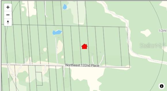 A grassy, partially cleared lot is bordered by a dense forest of pine and oak trees — 0 NE 132ND PL, CITRA, FL