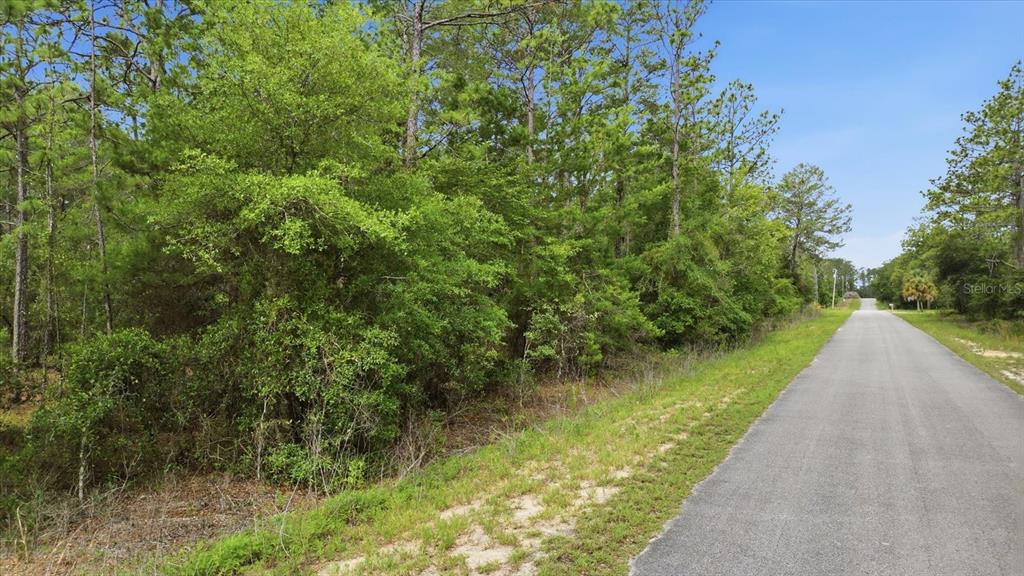 A paved road runs alongside a dense, wooded lot under a clear blue sky — 0000 SW BEAVER DRIVE, DUNNELLON, FL