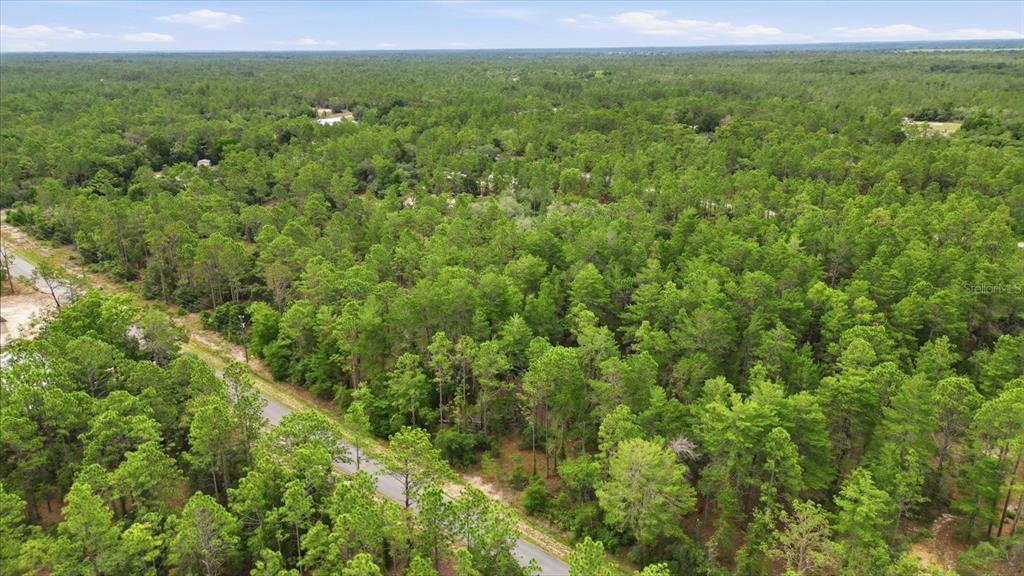 An aerial view shows a paved road winding through a dense, wooded forest area — 0000 SW BEAVER DRIVE, DUNNELLON, FL