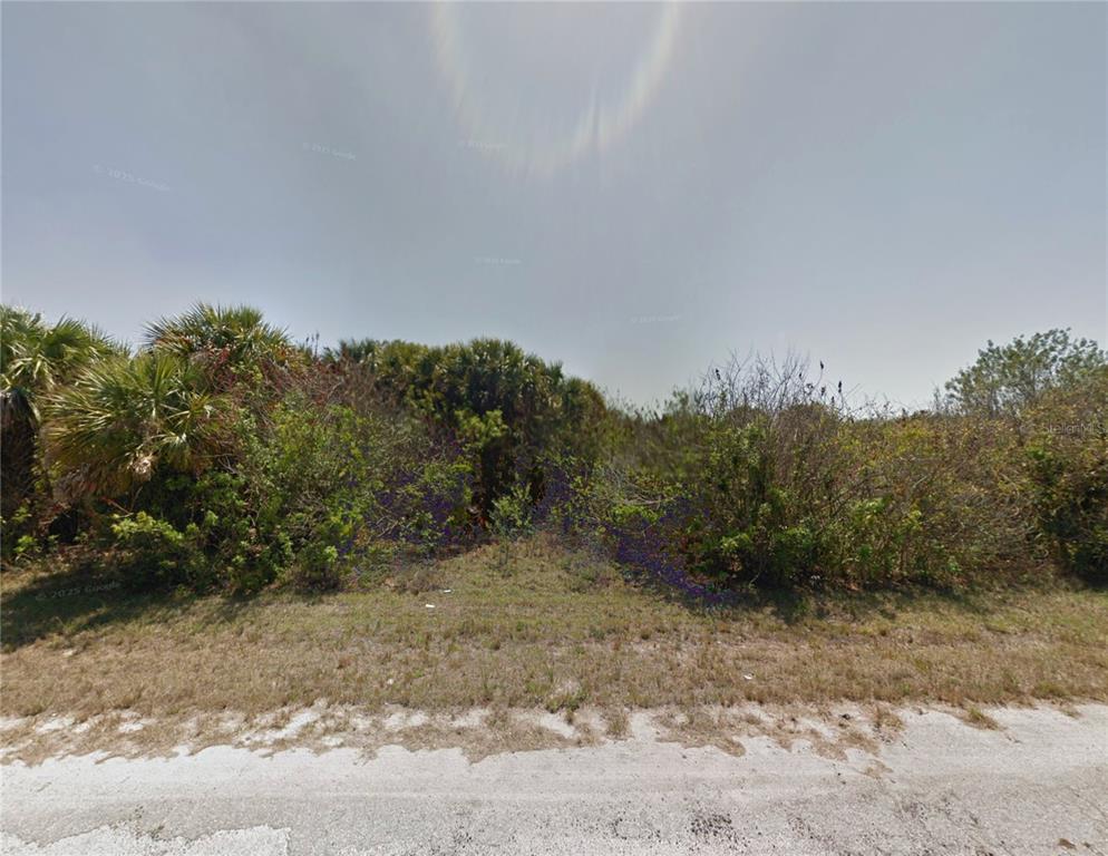 A vacant, overgrown lot with dense vegetation and palm trees borders a paved road — 19425 BOULDER AVENUE, PORT CHARLOTTE, FL
