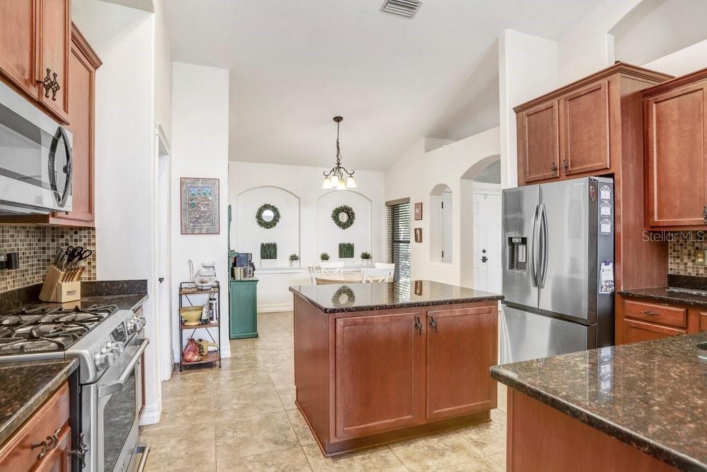 A kitchen with dark wood cabinets, granite countertops, a center island, and stainless steel appliances — 15723 STARLING WATER DRIVE, LITHIA, FL