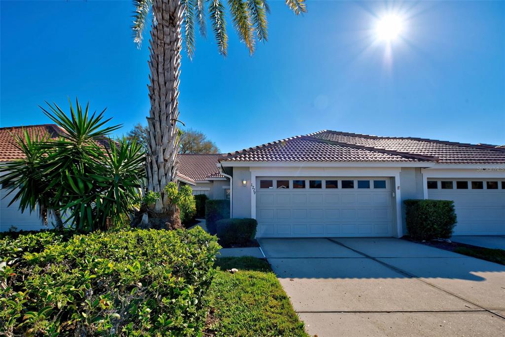 1779 SAN SILVESTRO DRIVE