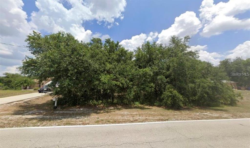 A dense cluster of trees and shrubs sits on a vacant lot beside a road — 1088 ALABAMA ROAD S, LEHIGH ACRES, FL