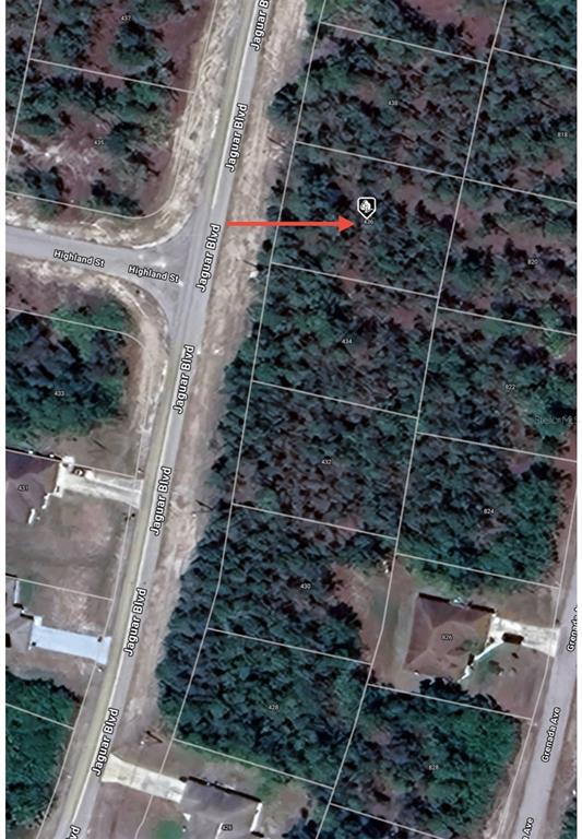This satellite map shows a vacant wooded lot along a road with a red arrow — 436 JAGUAR BOULEVARD, LEHIGH ACRES, FL