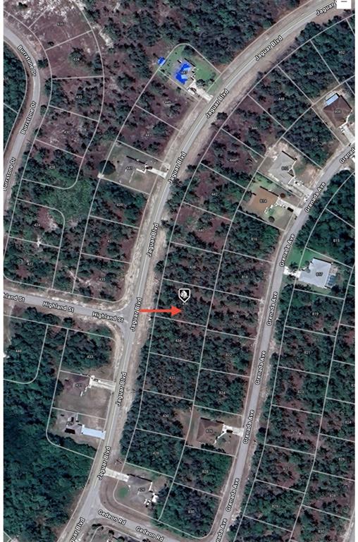 This is a satellite map view showing a vacant residential lot marked with a red arrow — 436 JAGUAR BOULEVARD, LEHIGH ACRES, FL