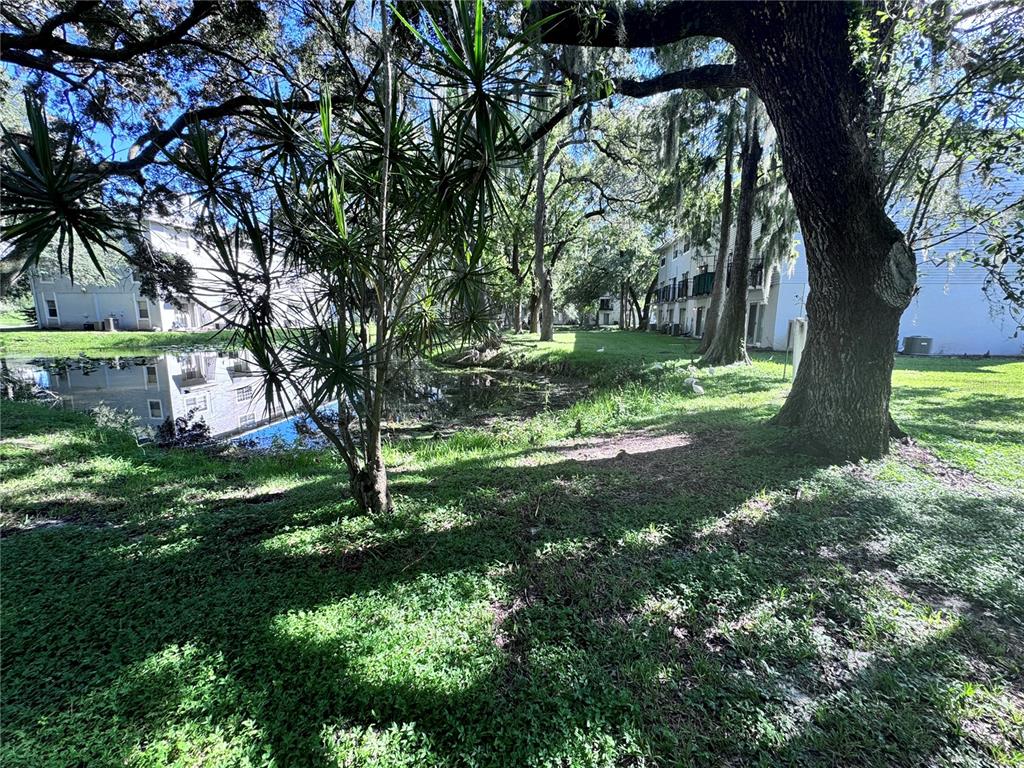 A grassy lawn with trees and a small pond sits between two apartment buildings — 7177 E BANK DRIVE UNIT 102, TAMPA, FL