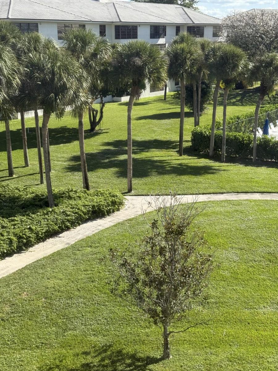 A view of a grassy courtyard with palm trees and a paved walkway — 3710 Whitehall Drive # 401, West Palm Beach FL 33401, WEST PALM BEACH, FL