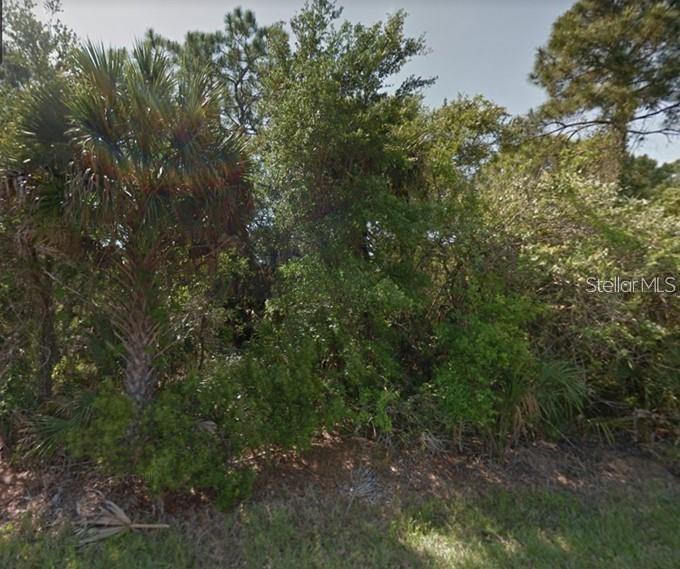 A dense, wooded lot features a prominent palm tree and thick undergrowth — 1396 LACE TERRACE, PORT CHARLOTTE, FL