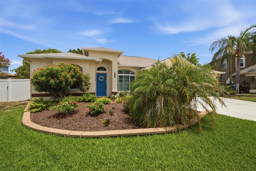 A single-story house with a blue front door, a palm tree, and a landscaped yard — 11201 SAINT ANDREWS COURT, RIVERVIEW, FL