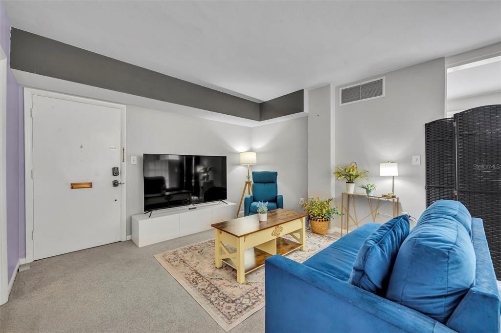 A living room features a blue sofa, a television on a white stand, and carpeting — 311 E MORSE BOULEVARD UNIT 6-12, WINTER PARK, FL
