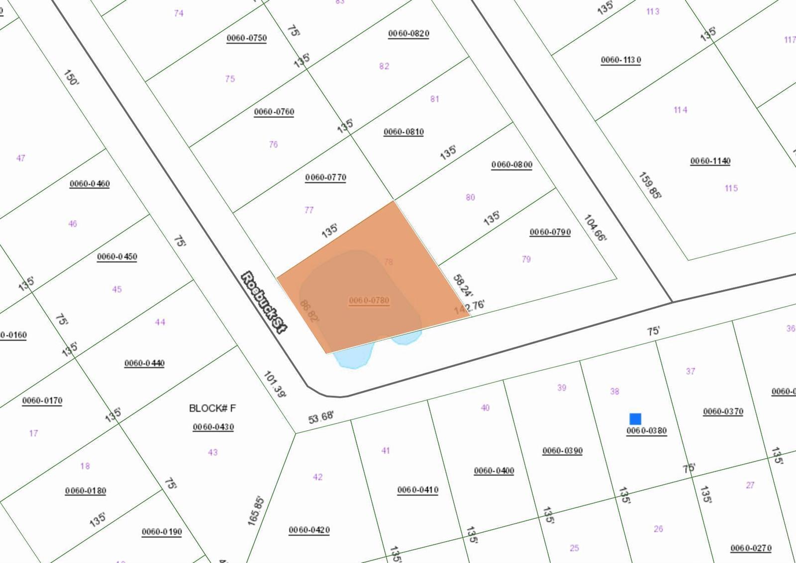 This is a property tax map showing parcel 0060-0780 highlighted in orange — 000 Roebuck Street, FL 32139, FL