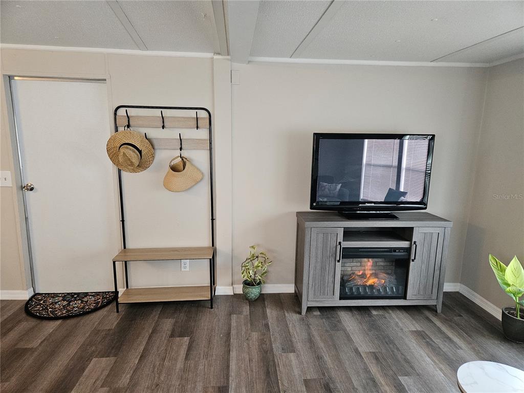 A living room features wood-look flooring, a coat rack, and a television on a fireplace console — 3130 GREAT OAK STREET, WESLEY CHAPEL, FL