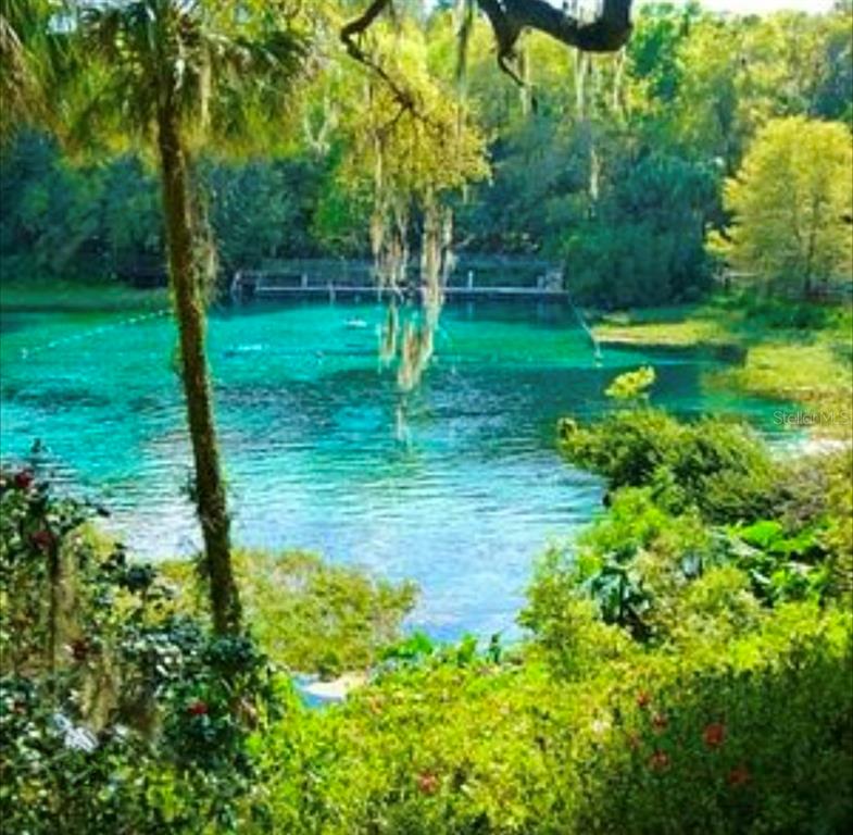 A view of a vibrant turquoise natural spring surrounded by lush green trees and foliage — 20167 SW 81ST STREET, DUNNELLON, FL