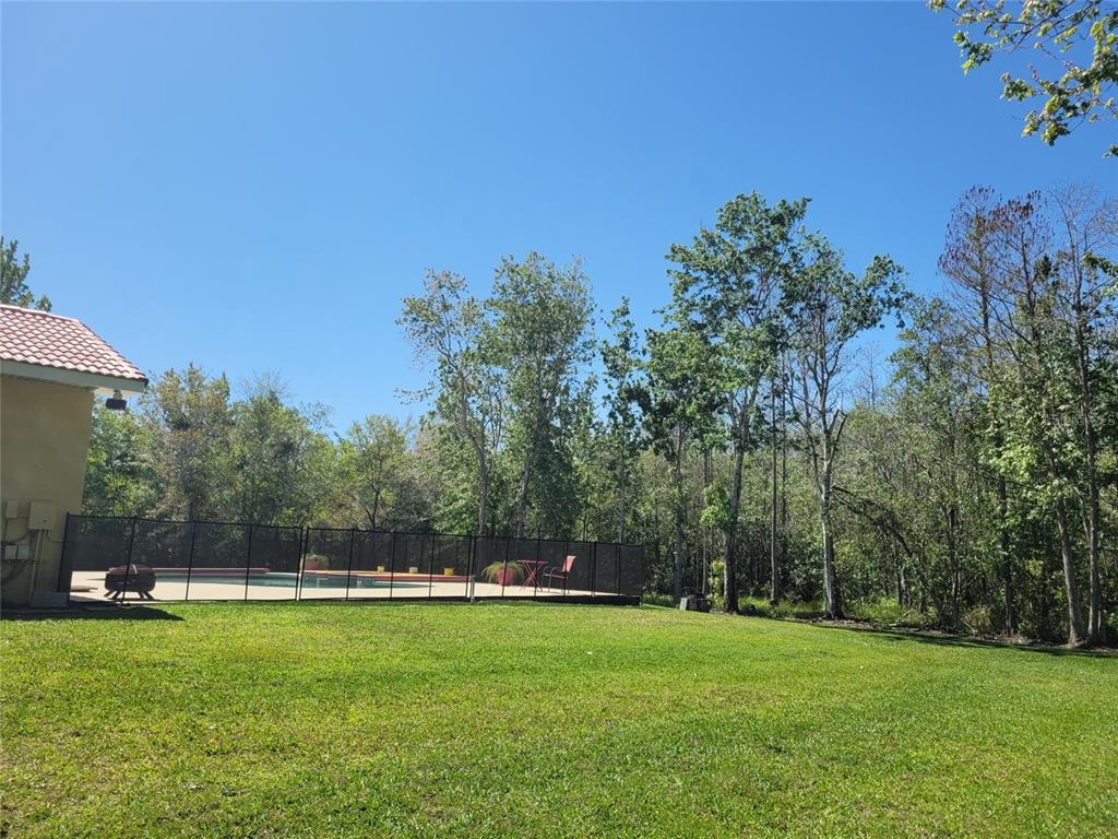 A backyard features a swimming pool enclosed by a black fence next to a house — 3150 APPALOOSA COURT, KISSIMMEE, FL