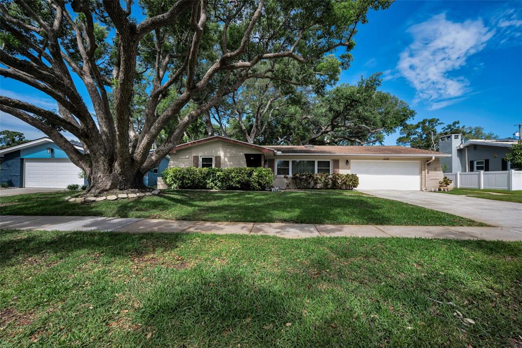 A single-story house with a white garage and a large tree in the front yard — 1368 WILLIAMS DRIVE, CLEARWATER, FL