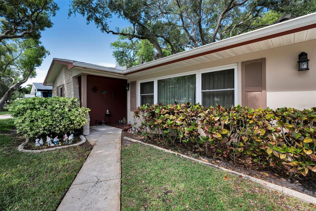 A concrete walkway leads to the front entrance of a single-story house with landscaping — 1368 WILLIAMS DRIVE, CLEARWATER, FL