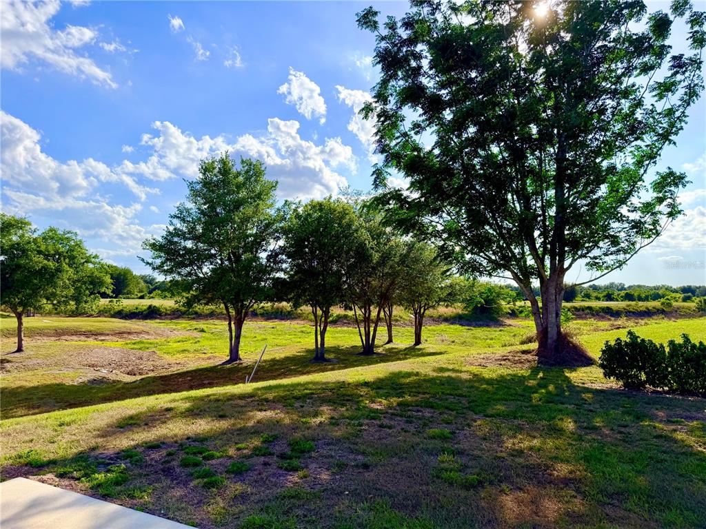 A grassy backyard features several mature trees under a bright blue sky with scattered clouds — 4982 SE 92ND BOULEVARD, WEBSTER, FL