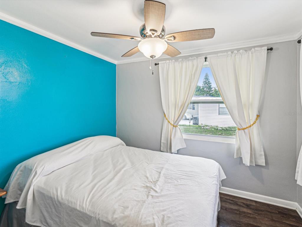 A bedroom features a bed, a ceiling fan, white curtains, and a bright blue accent wall — 1940 SHADY COVE DRIVE, HOLIDAY, FL
