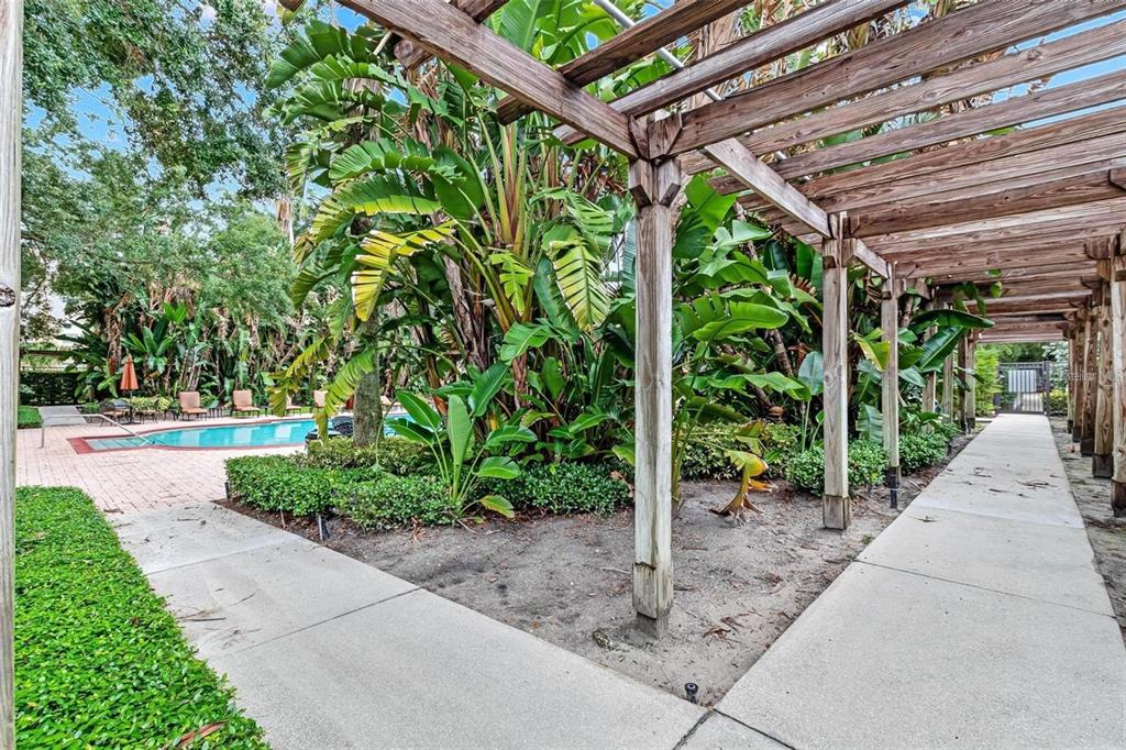 A wooden pergola covers a concrete walkway next to a swimming pool and lush landscaping — 829 CAMARGO WAY UNIT 209, ALTAMONTE SPRINGS, FL