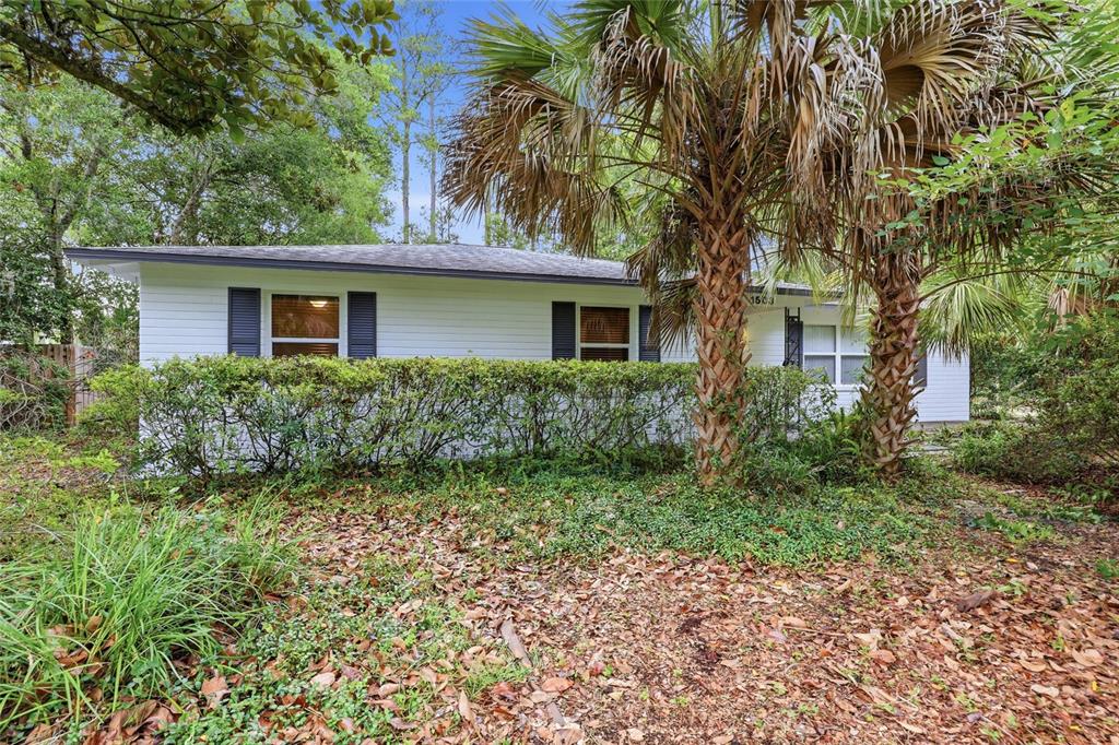 A white single-story house with dark shutters is partially obscured by palm trees and landscaping — 1503 NW 17TH STREET, GAINESVILLE, FL