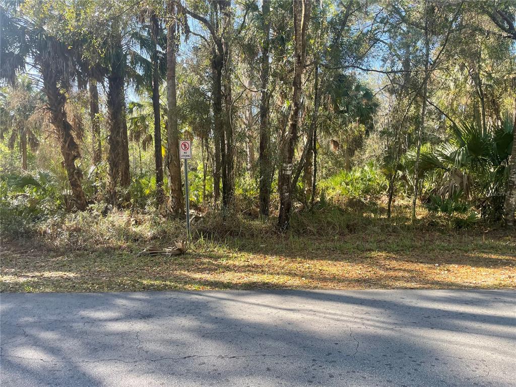 A paved road runs in front of a wooded lot with a no littering sign — 1120 NE 3RD STREET, CRYSTAL RIVER, FL