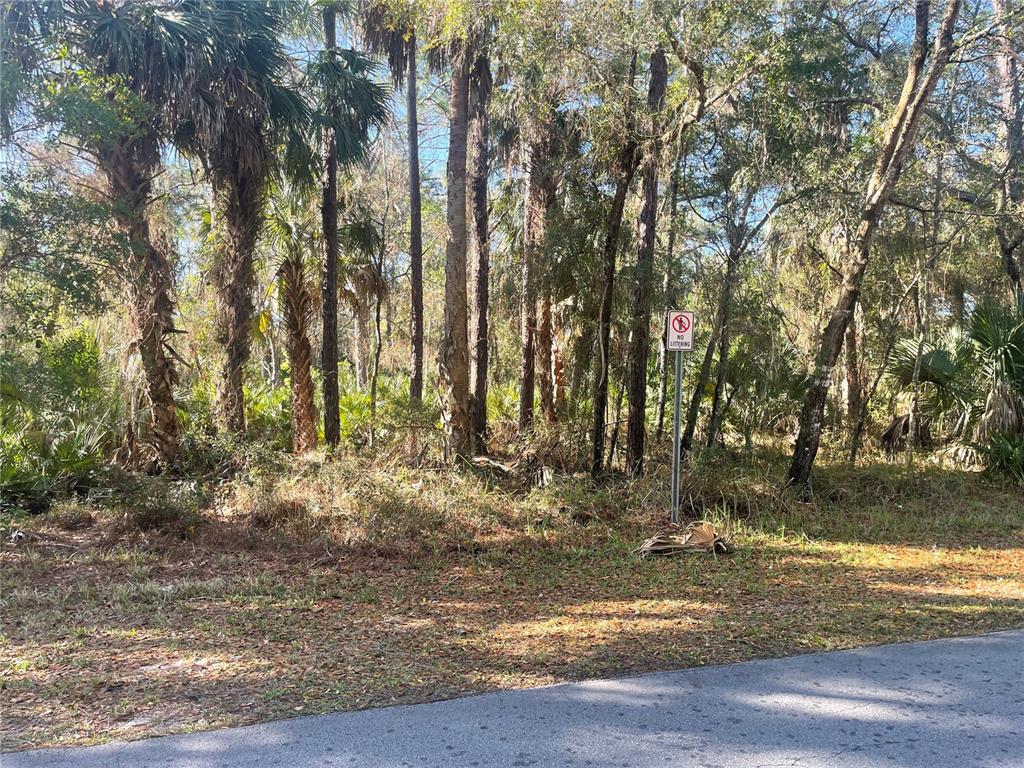 A wooded lot with a no littering sign stands next to an asphalt road — 1120 NE 3RD STREET, CRYSTAL RIVER, FL