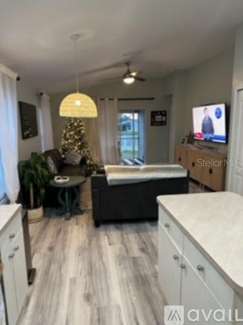 A living room features light wood-look flooring, a ceiling fan, and a large television — 11308 PALM ISLAND AVENUE, RIVERVIEW, FL