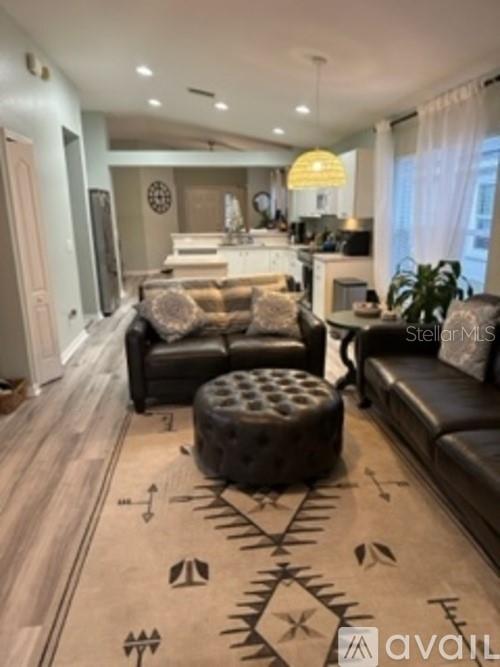 A living room features dark leather furniture, a patterned area rug, and an open kitchen — 11308 PALM ISLAND AVENUE, RIVERVIEW, FL