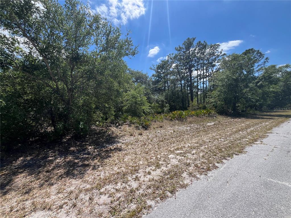 A vacant, wooded lot sits adjacent to a paved road under a bright blue sky — OLEANDER DRIVE, INDIAN LAKE ESTATES, FL