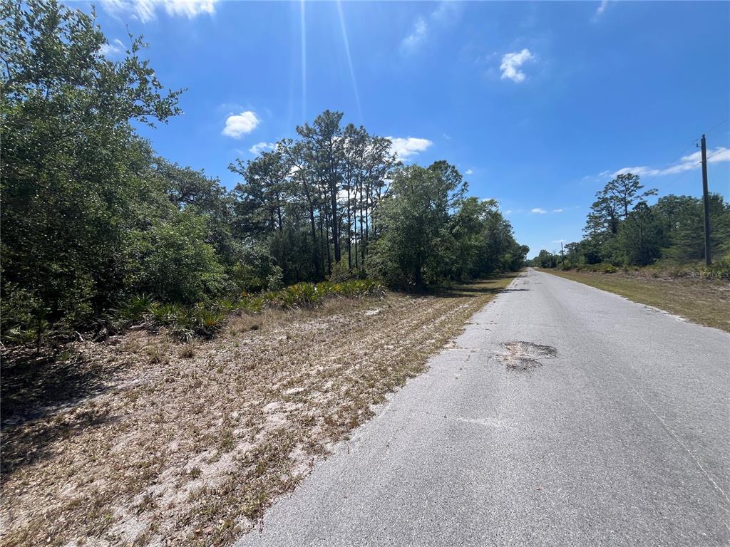 A paved road runs alongside a wooded lot under a bright blue sky — OLEANDER DRIVE, INDIAN LAKE ESTATES, FL