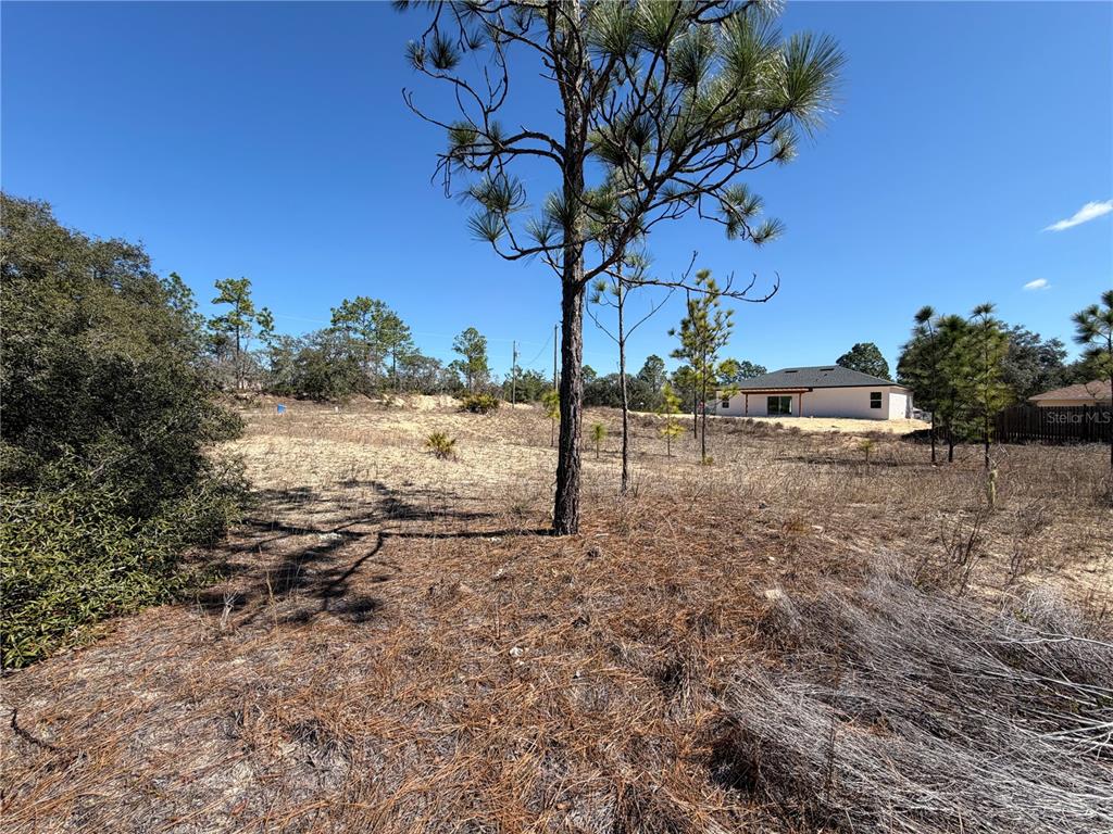 A large, sandy, undeveloped lot features scattered pine trees under a clear blue sky — 6725 N KILLINGER TERRACE, CITRUS SPRINGS, FL