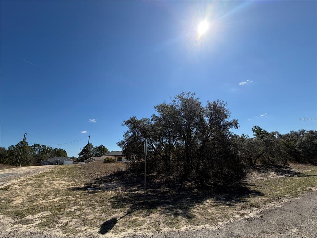 A vacant, sandy lot features a large tree under a bright, sunny blue sky — 6725 N KILLINGER TERRACE, CITRUS SPRINGS, FL