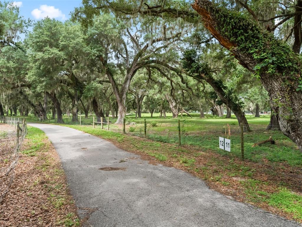A paved driveway runs alongside a fenced, grassy lot shaded by large, moss-covered oak trees — Lot 12 CR 543, BUSHNELL, FL