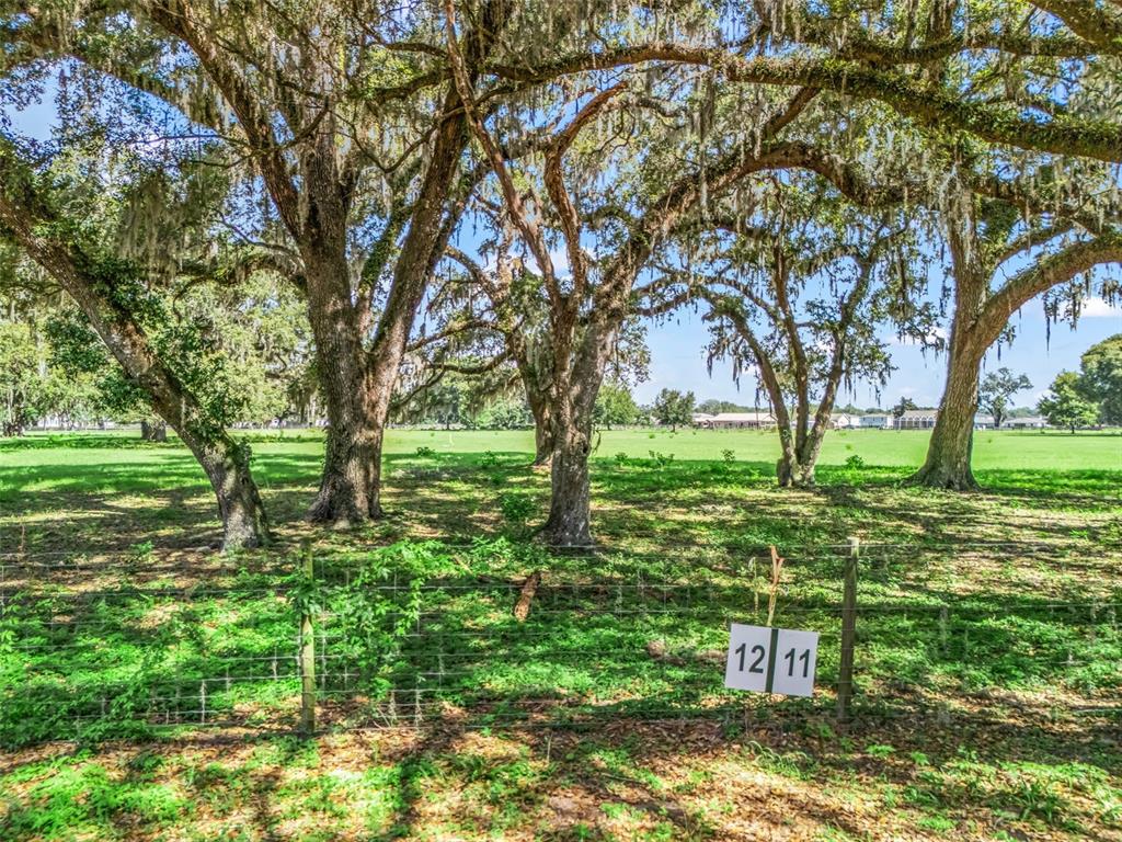A grassy lot with large oak trees features a wire fence and numbered signs — Lot 12 CR 543, BUSHNELL, FL