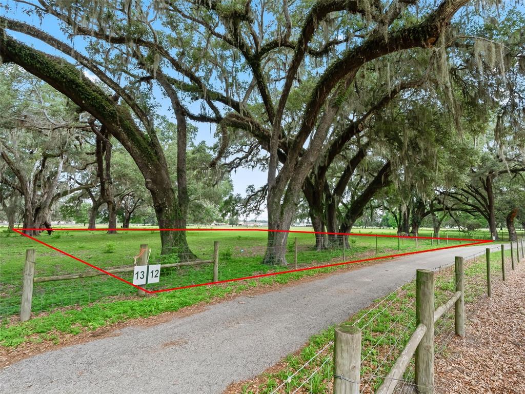 A grassy, tree-filled lot is outlined in red next to a gravel driveway — Lot 12 CR 543, BUSHNELL, FL