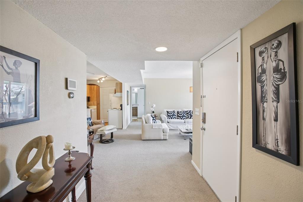 A view from an entryway looking into a carpeted living room and kitchen area — 455 ALT 19 S UNIT 42 & 46, PALM HARBOR, FL