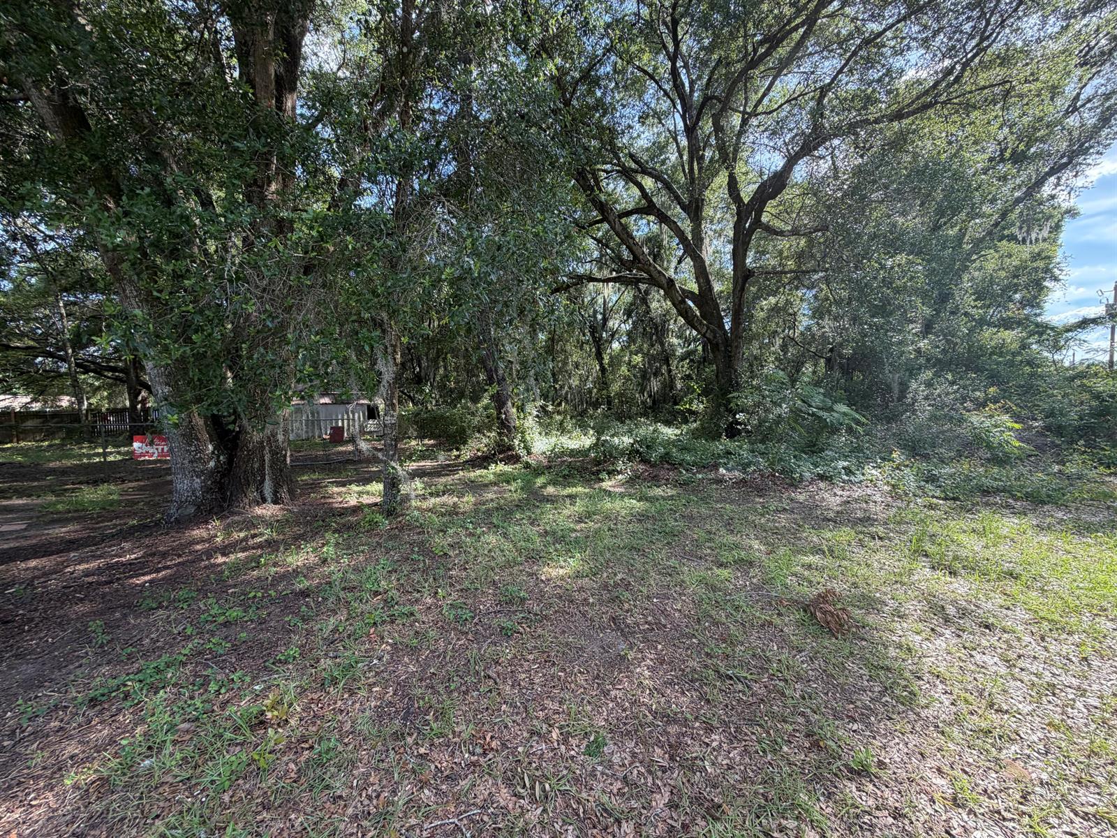 A grassy, wooded lot features large oak trees and a small shed in the background — 3920 E Allendale Street, Inverness FL 34453, INVERNESS, FL