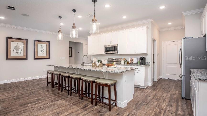 A modern kitchen features white cabinets, a large island with a sink, and wood-look flooring — 3645 E SANDERS AVENUE, INVERNESS, FL